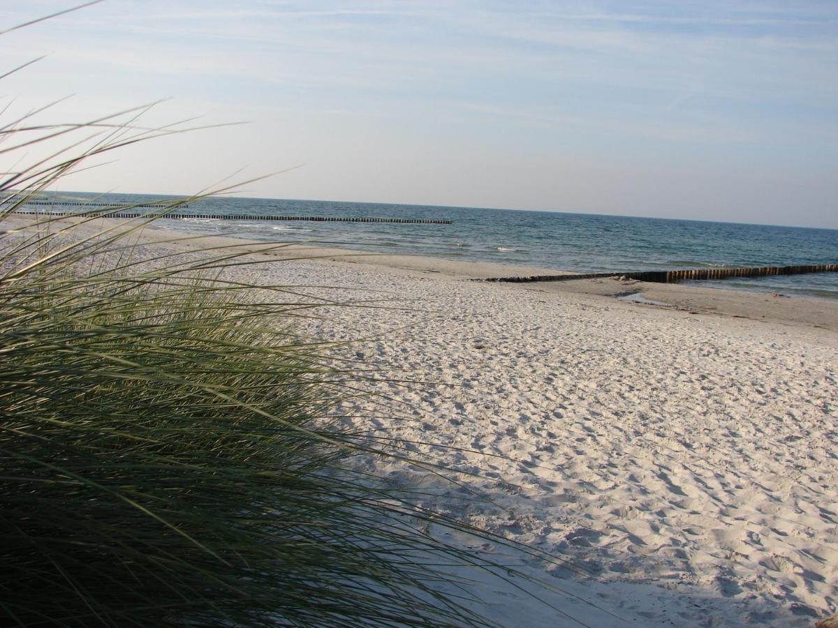 Hausnora - Zingst Apartment Bagian luar foto
